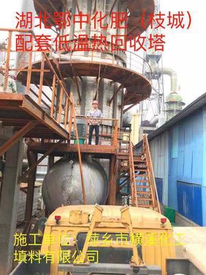 湖北鄂中化肥（枝城）配套低温热回收塔
